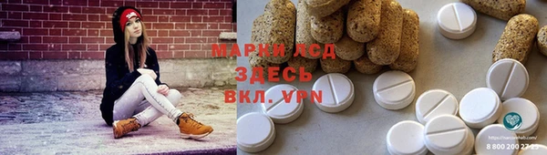СК Каменка