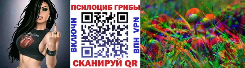 Псилоцибиновые грибы Psilocybine cubensis  Кирсанов 